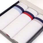 Zakdoek Swan